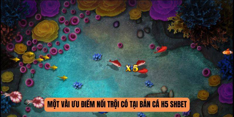 Một vài ưu điểm nổi trội có tại bắn cá H5 SHBET