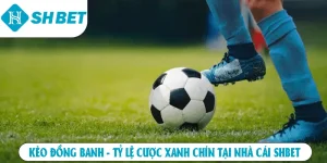 Kèo đồng banh tỷ lệ cược xanh chín tại nhà cái SHBET